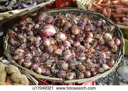 Basket of Onions, Grande Baie, Mauritius View Large Photo Image Stock Image - Basket of Onions, Grande Baie, Mauritius. Fotosearch