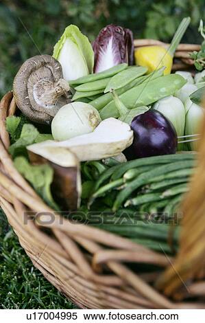 Basket with Organic Vegetables View Large Photo Image Stock Photography - Basket with Organic Vegetables. Fotosearch