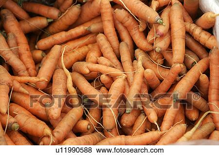 Stock Photo - Carrots. Fotosearch