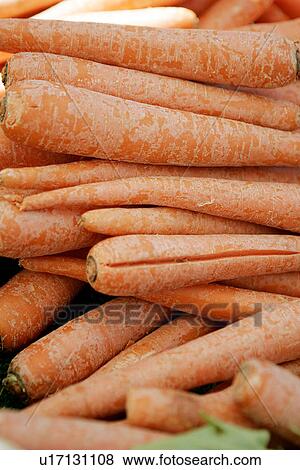 Stock Photo - Carrots. Fotosearch