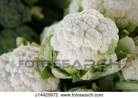 Stock Image - Cauliflower at Farmers Market. Fotosearch