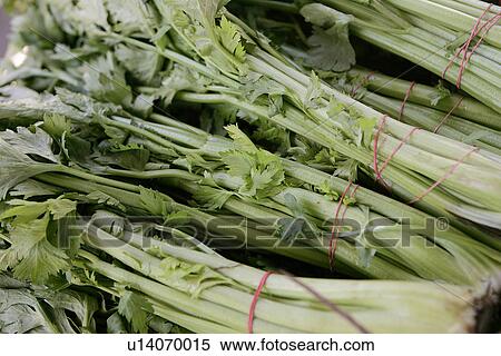 Stock Photography - Celery at Farmers Market. Fotosearch