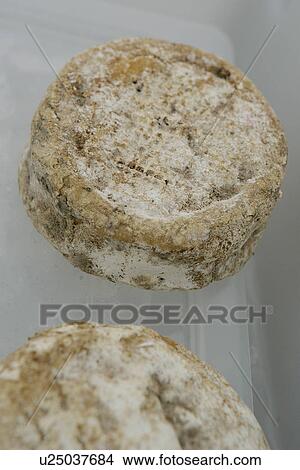 Picture - Cheese at Farmers Market. Fotosearch