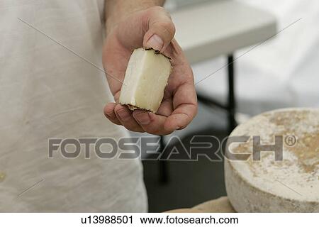 Cheese at Farmers Market View Large Photo Image Stock Image - Cheese at Farmers Market. Fotosearch