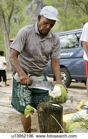 Coconut Stall, Belle Mare, Mauritius View Large Photo Image Stock Photograph - Coconut Stall, Belle Mare, Mauritius. Fotosearch