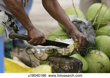 Coconut Stall, Belle Mare, Mauritius View Large Photo Image Stock Photograph - Coconut Stall, Belle Mare, Mauritius. Fotosearch