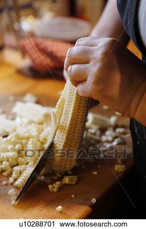 Stock Image - Cutting Corn / step shot. Fotosearch