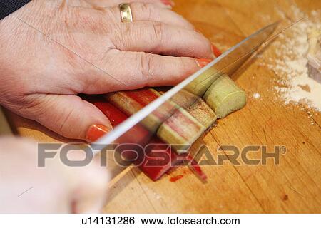 Stock Photograph - Cutting Rainbow chard. Fotosearch