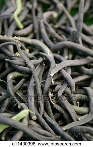 Stock Photograph - Dark Beans at Farmers Market. Fotosearch