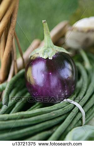 Dilly Beans and Eggplant in Basket View Large Photo Image Stock Photography - Dilly Beans and Eggplant in Basket. Fotosearch