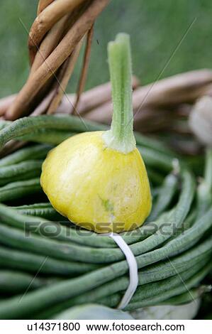 Stock Image - Dilly Beans and Patty Pan in Basket. Fotosearch