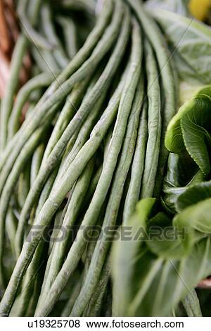 Dilly Beans View Large Photo Image Stock Photo - Dilly Beans. Fotosearch