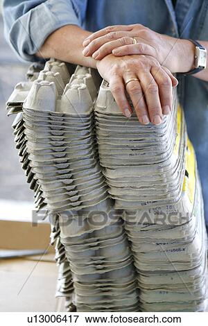 Egg Carton Stack at Farmers Market View Large Photo Image Stock Photo - Egg Carton Stack at Farmers Market. Fotosearch