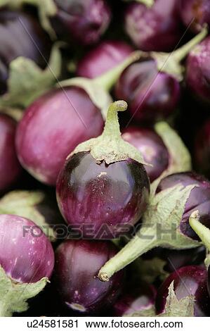 Stock Image - Eggplant / Aubergine at Farmers Market. Fotosearch