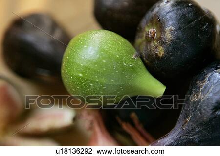Stock Image - Figs. Fotosearch