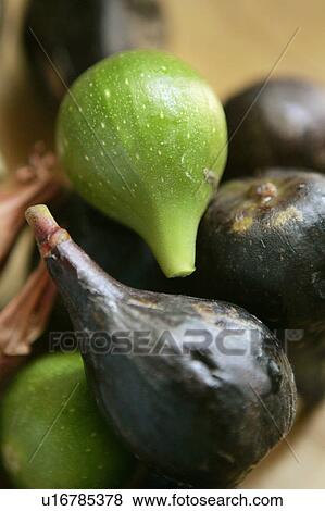 Figs View Large Photo Image Stock Photo - Figs. Fotosearch
