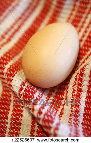 Stock Photo - Free Range Egg. Fotosearch