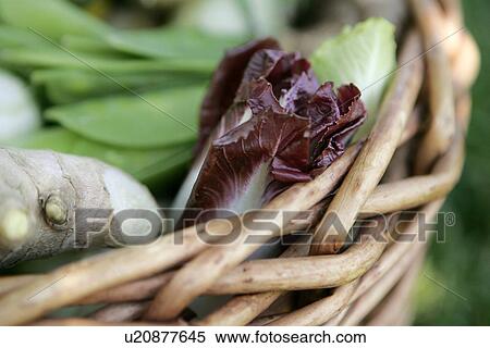Stock Photography - Fresh Vegetables in Basket. Fotosearch