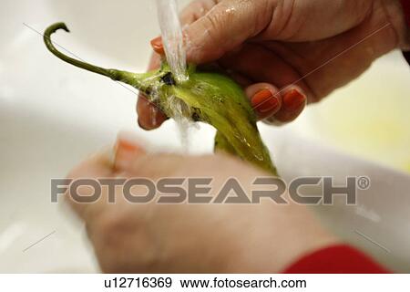 Grilled Green Chili Pepper skin under water / step shot View Large Photo Image Stock Photo - Grilled Green Chili Pepper skin under water / step shot. Fotosearch
