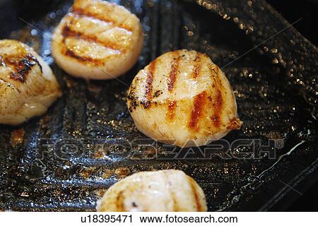 Grilled Scallops / Step shot View Large Photo Image Stock Image - Grilled Scallops / Step shot. Fotosearch