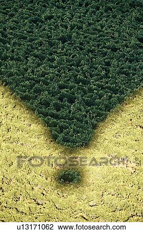 Hot Air Balloon Shadow, Napa Valley, California, North America View Large Photo Image Stock Image - Hot Air Balloon Shadow, Napa Valley, California, North America. Fotosearch