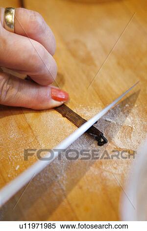 Stock Photography - Knife on Vanilla pod / Step shot. Fotosearch