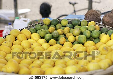 Stock Photography - Lemons and Limes, Grande Baie, Mauritius. Fotosearch