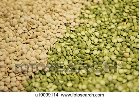 Lentils View Large Photo Image Picture - Lentils. Fotosearch