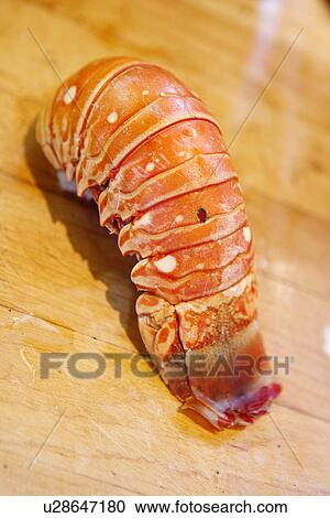 Stock Image - Lobster Tail. Fotosearch