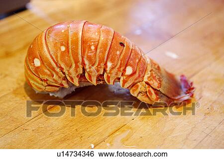 Lobster Tail View Large Photo Image Stock Photograph - Lobster Tail. Fotosearch