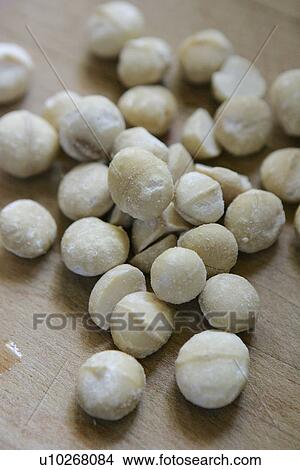 Picture - Macadamia Nuts. Fotosearch