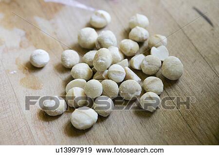 Macadamia Nuts View Large Photo Image Stock Photo - Macadamia Nuts. Fotosearch