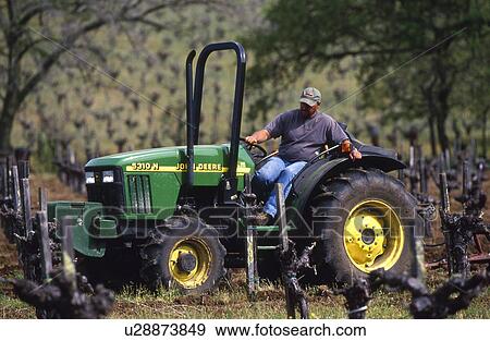 Stock Photo - Man on tractor in vineyard. Fotosearch