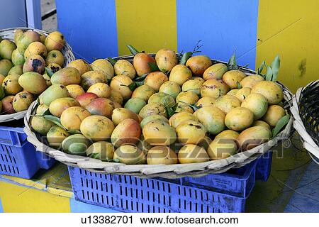 Mango fruit Grande Baie, Mauritius View Large Photo Image Stock Image - Mango fruit Grande Baie, Mauritius. Fotosearch