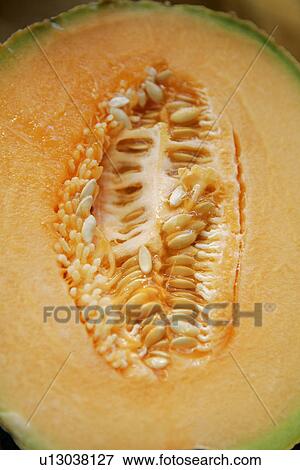 Melon Half View Large Photo Image Stock Photo - Melon Half. Fotosearch