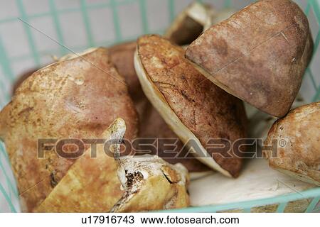Stock Image - Mushrooms at Farmers Market. Fotosearch