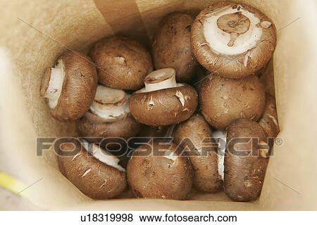Mushrooms in packet View Large Photo Image Stock Photo - Mushrooms in packet. Fotosearch