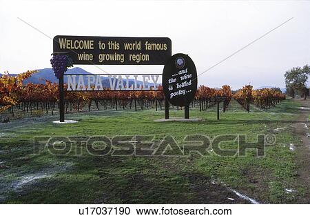 Stock Image - Napa Valley vineyard. Fotosearch