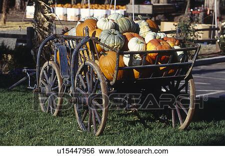 Stock Photograph - Old Farm Cart full of pumpkins. Fotosearch