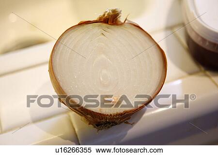 Stock Photography - Onion Half. Fotosearch