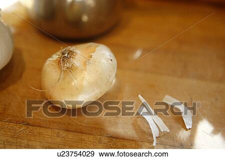 Stock Photo - Onion. Fotosearch