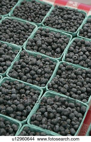 Picture - Organic Blueberries at Farmers Market. Fotosearch