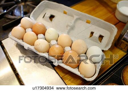 Organic Free-Range Eggs View Large Photo Image Picture - Organic Free-Range Eggs. Fotosearch
