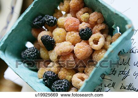 Stock Photo - Organic Golden Raspberries and Blackberries. Fotosearch