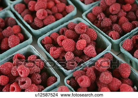 Picture - Organic Raspberries at Farmers Market. Fotosearch