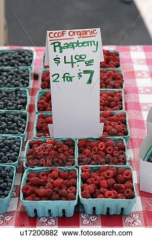 Organic Raspberries at Farmers Market View Large Photo Image Stock Image - Organic Raspberries at Farmers Market. Fotosearch