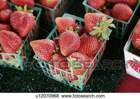 Organic Strawberries at Farmers Market View Large Photo Image Stock Photo - Organic Strawberries at Farmers Market. Fotosearch