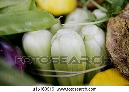 Pack choi View Large Photo Image Stock Photo - Pack choi. Fotosearch