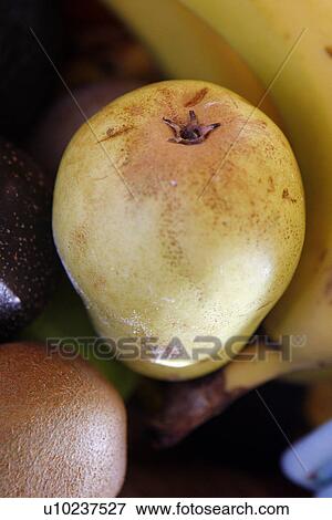 Pear View Large Photo Image Stock Photo - Pear. Fotosearch