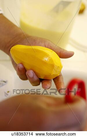 Peeled Mango View Large Photo Image Picture - Peeled Mango. Fotosearch